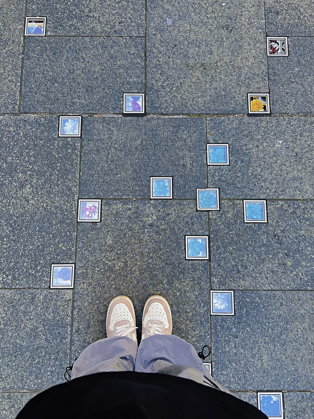 欢迎大家来到辽宁著名景点 星海广场