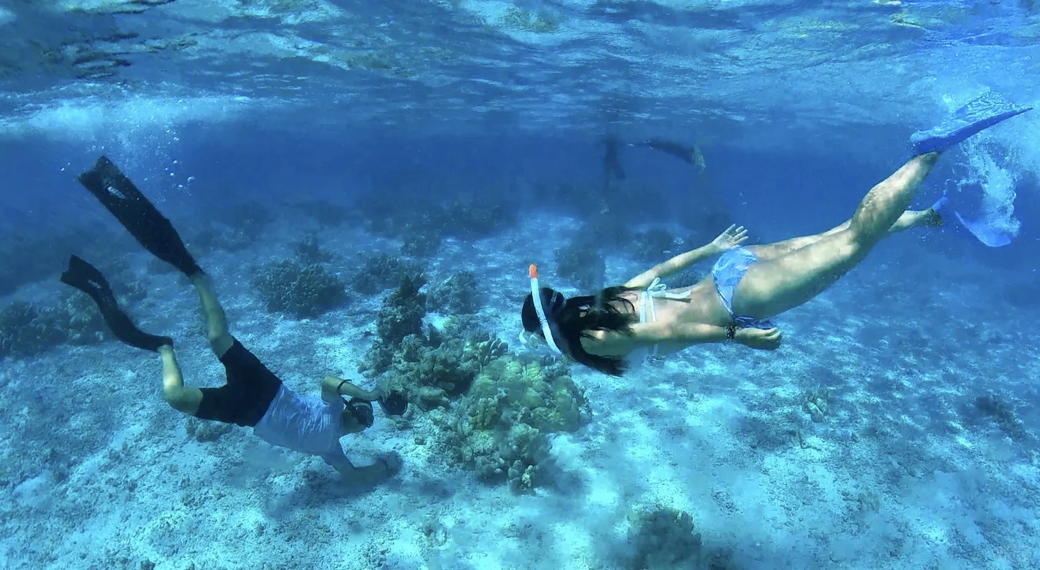 别再人挤人!十一去西沙,只有1%人玩过的旅行