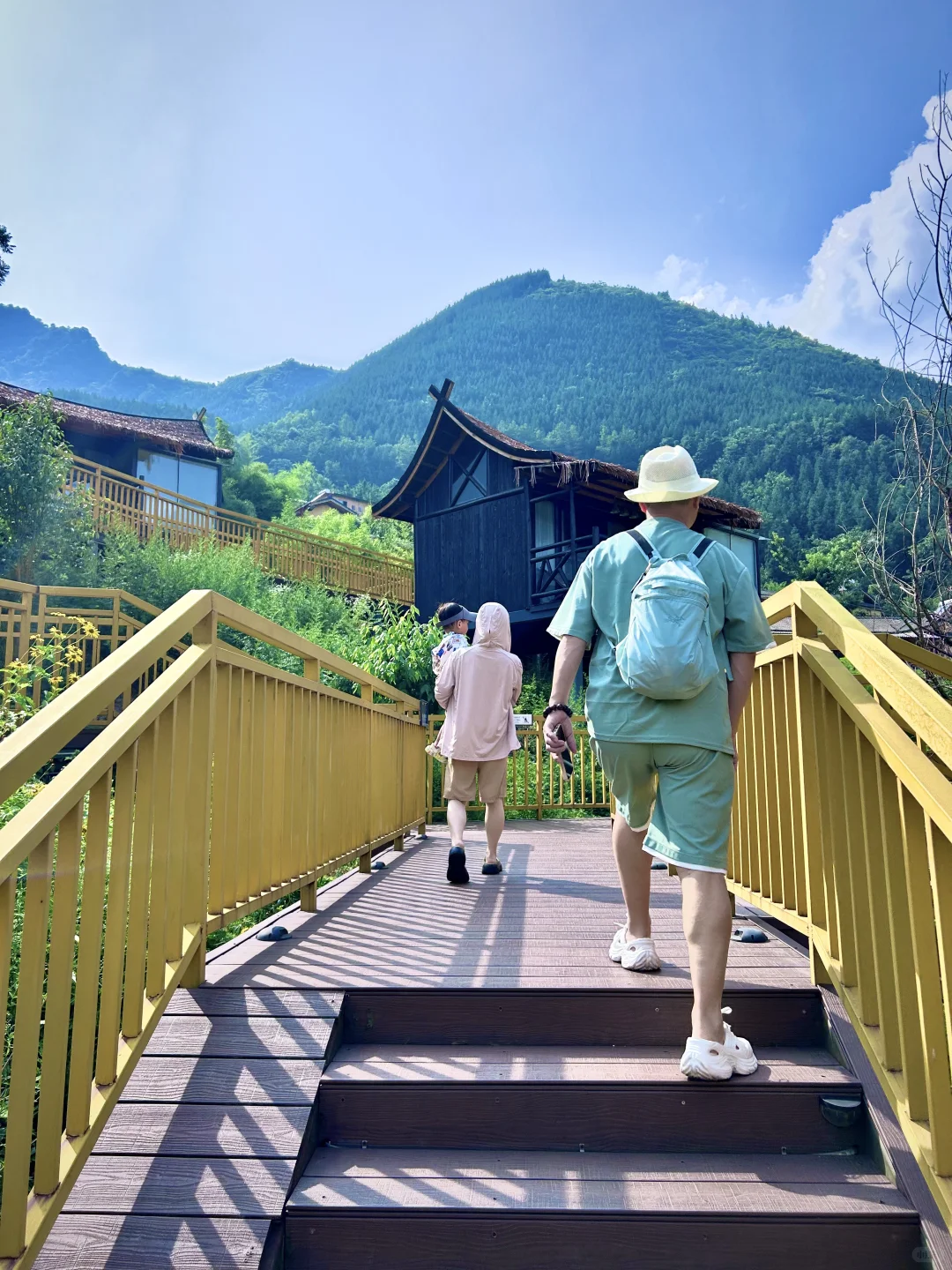 不想爬山又想凉快且绿植茂盛的地方