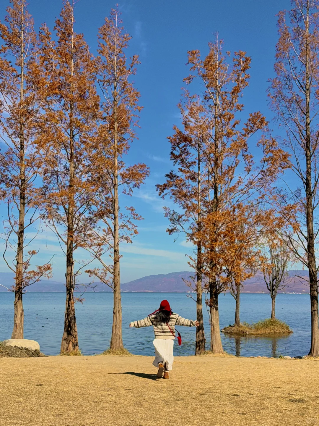 大理的秋天🍂每一帧都是人生Live呀！！！！