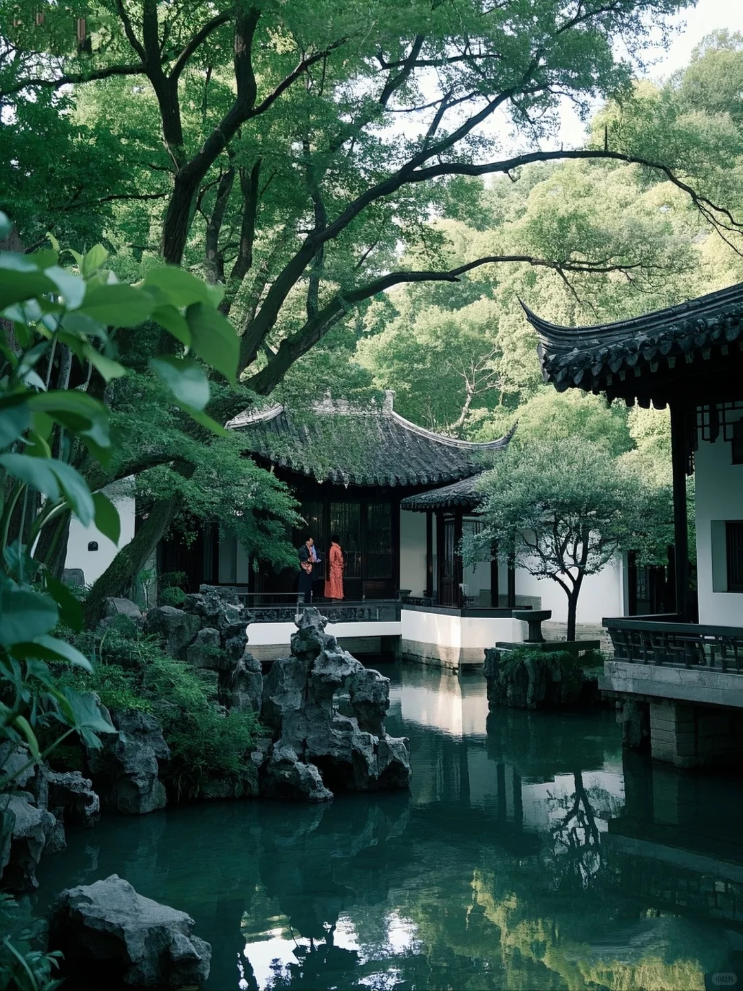 🌳走进狮子林，探江南园林之妙