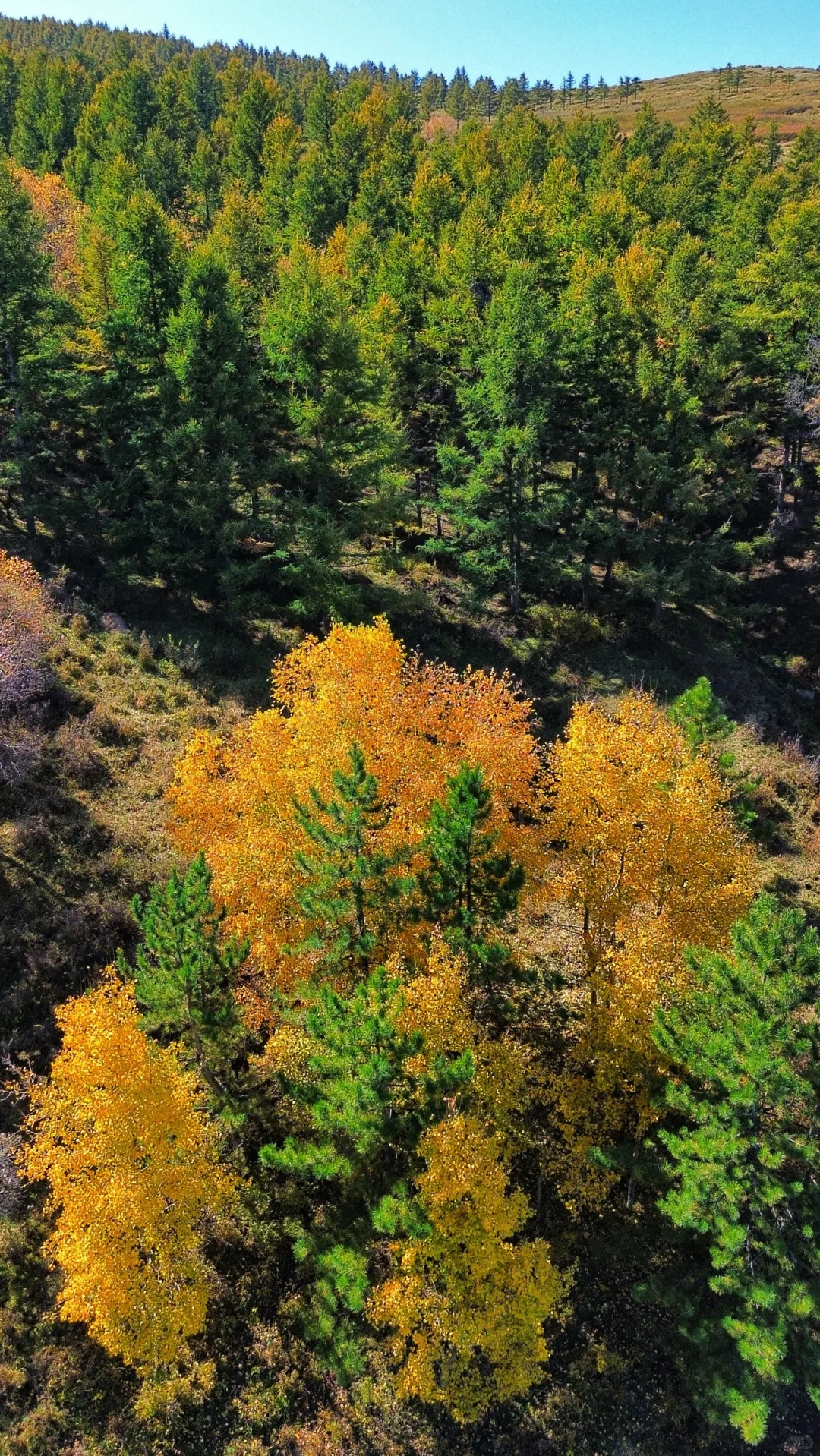 包头以及周边徒步赏秋推荐
