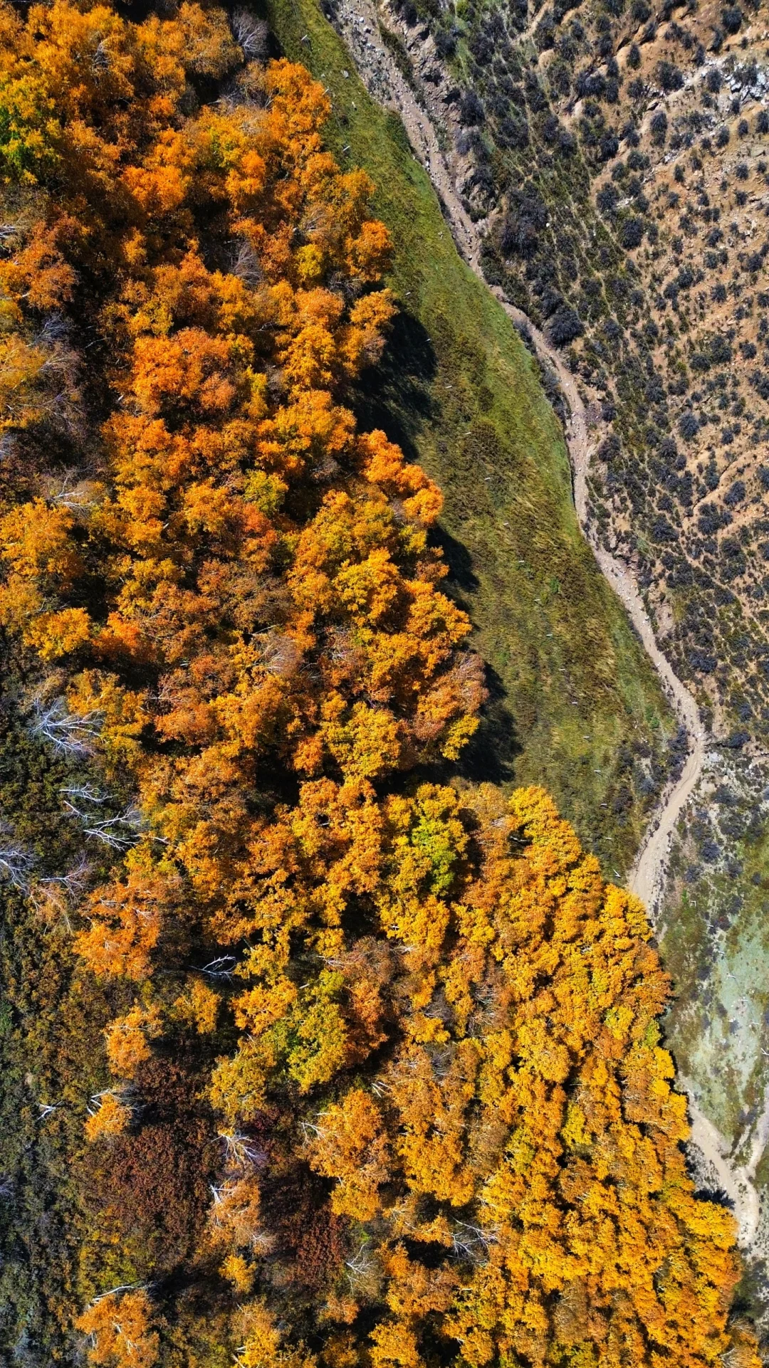 包头以及周边徒步赏秋推荐