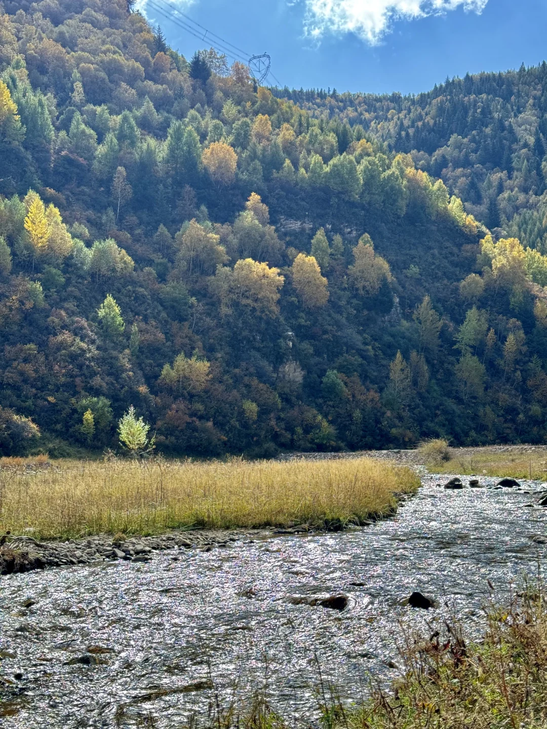 你可以永远相信芦芽山的秋日森林