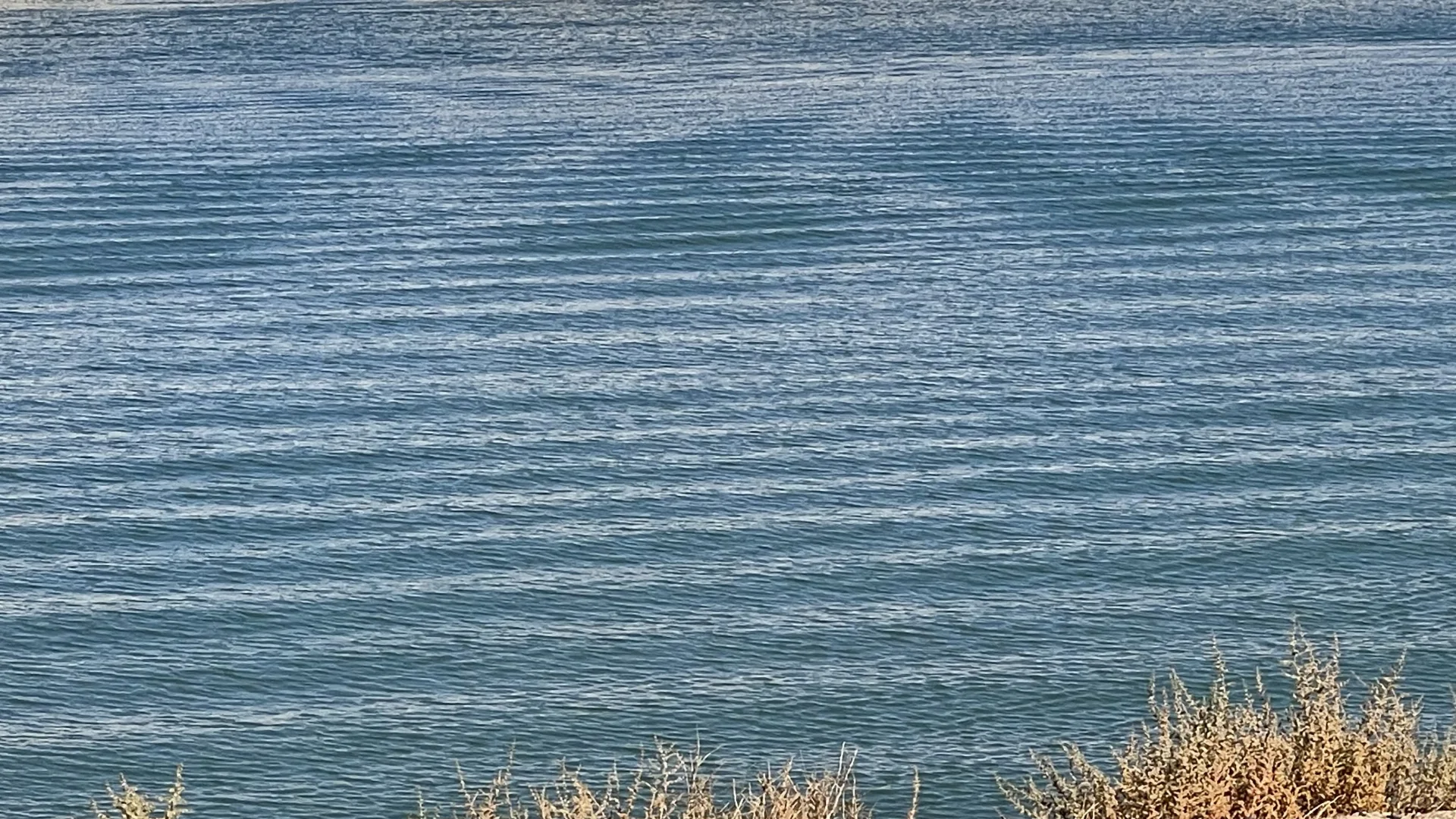 美国旅游和国内旅游的不同感受