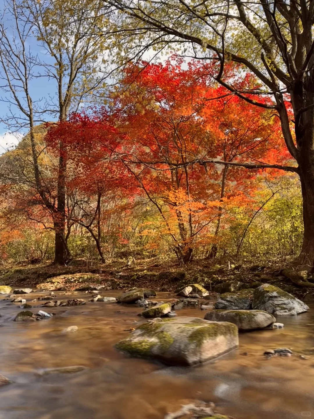 接下来的本溪，将是国内赏秋🍁最佳旅行地！！