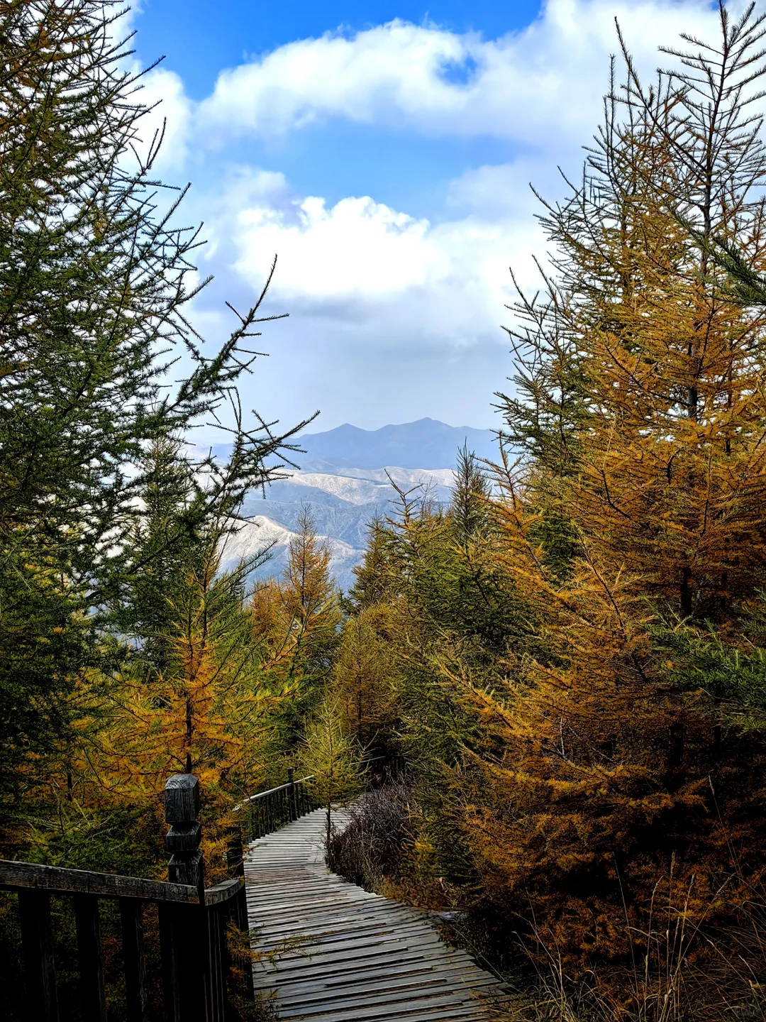 📍乌兰察布·苏木山森林公园