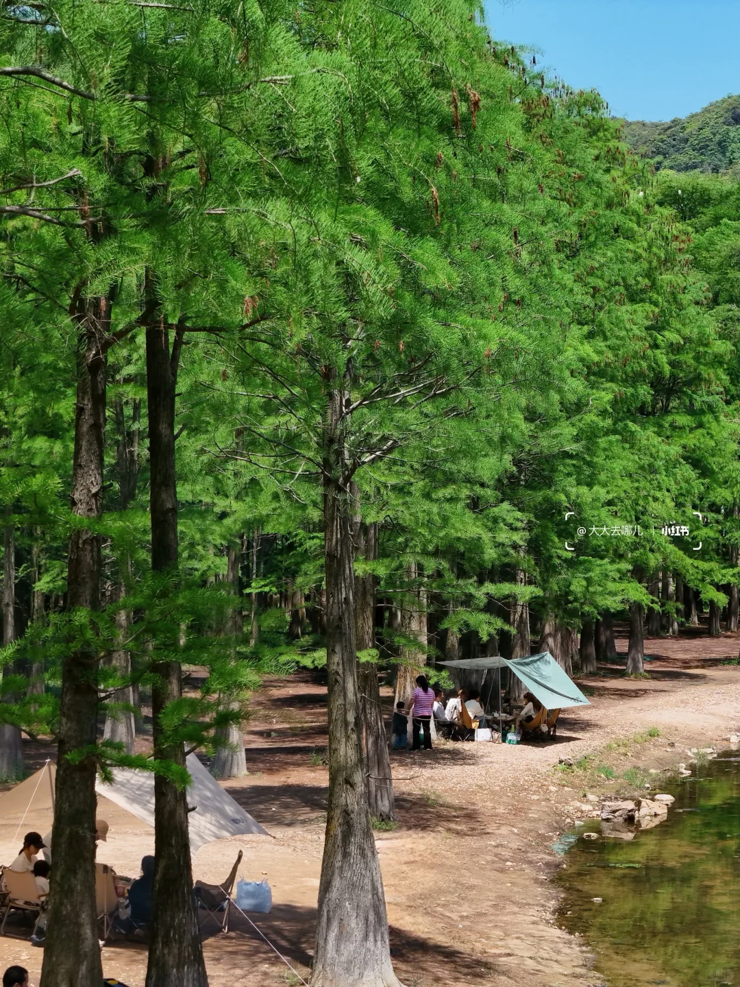 开车1h，来了不下10次的自驾宝藏地！下次还来