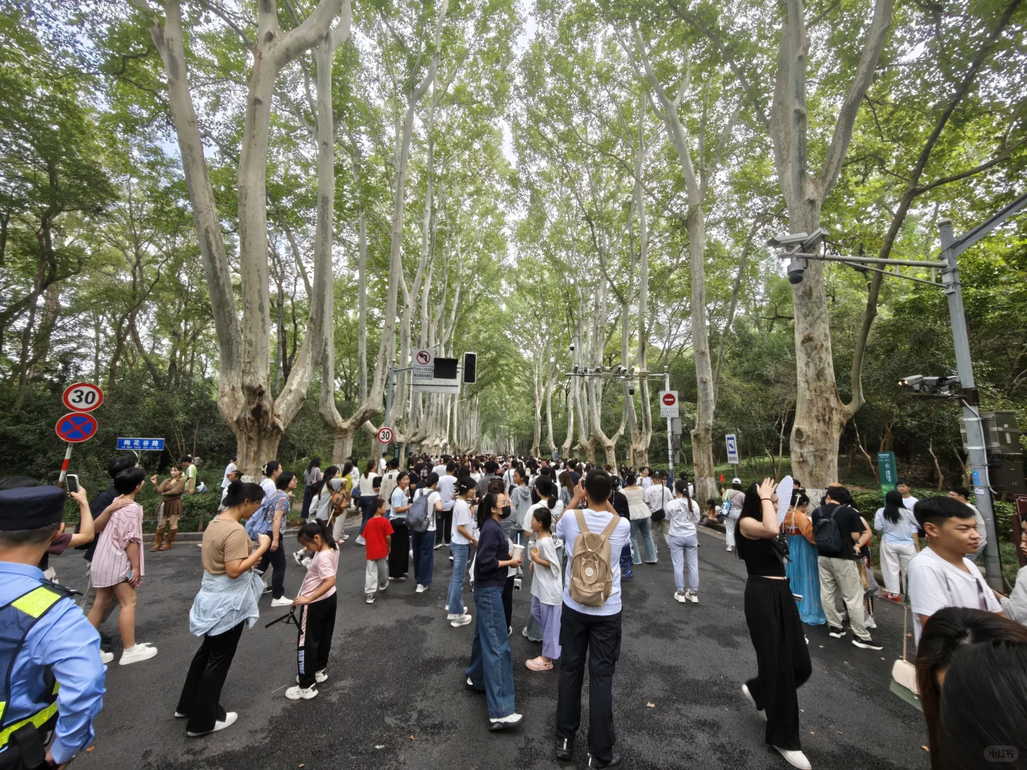 2025.10.1中午11点45，梧桐大道