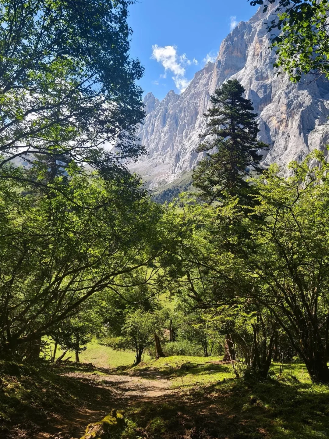 这里不是瑞士 这里是甘肃迭部骨麻湖