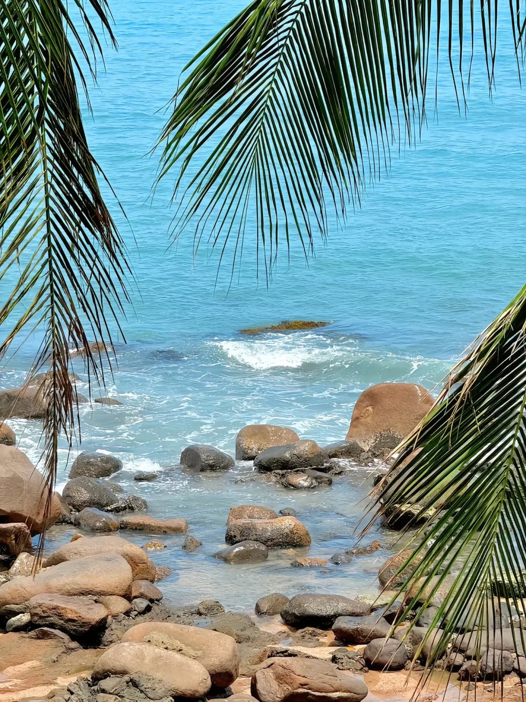 南山寺旅游攻略｜本地人5刷总结😭🙏