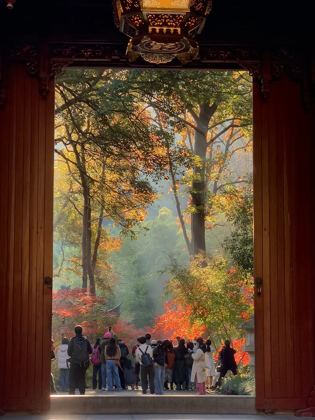 接下来的杭州…堪称秋日旅行天花板！（live版