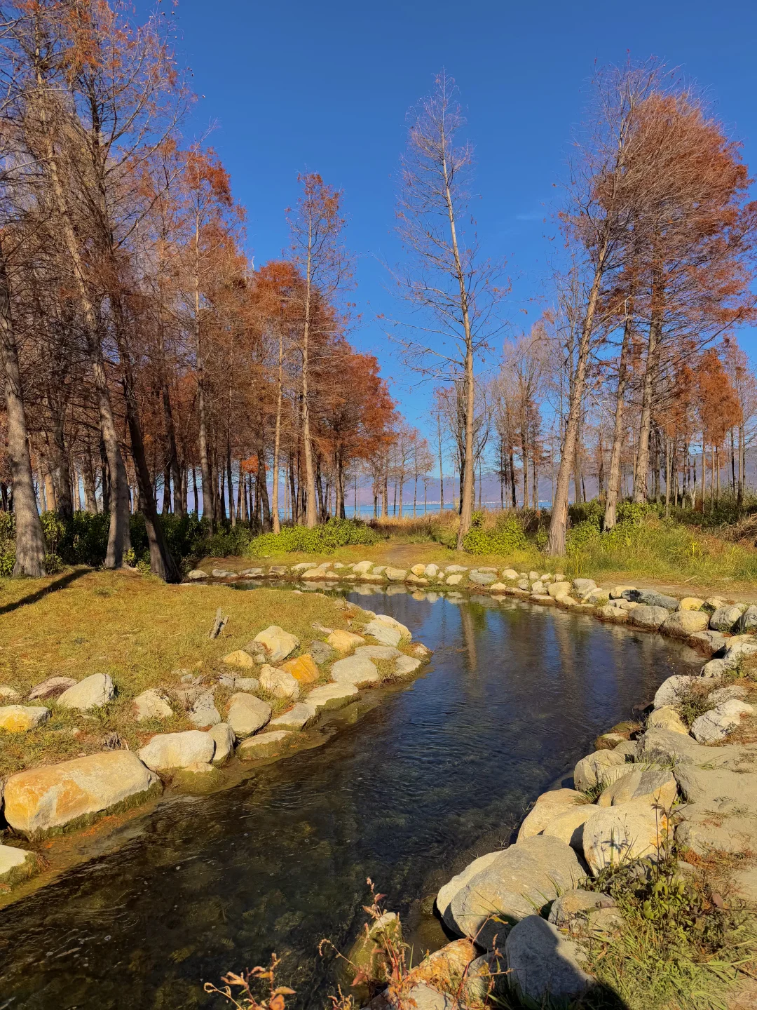 大理的秋天🍂每一帧都是人生Live呀！！！！