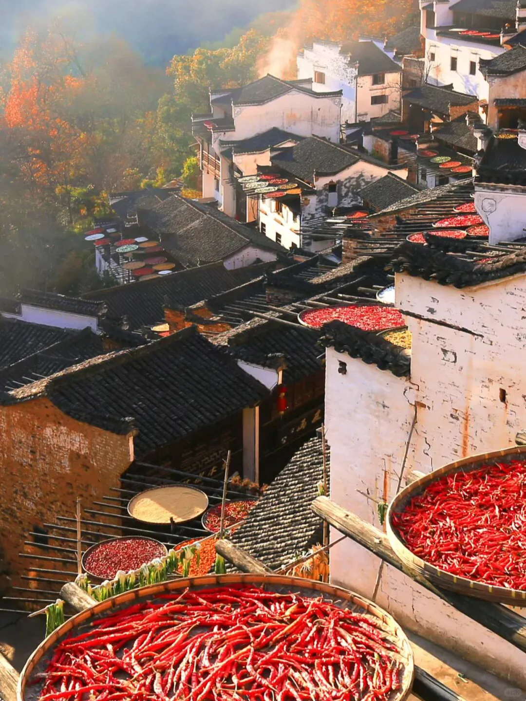 十一月的篁岭,堪称国内旅游的天花板❗️