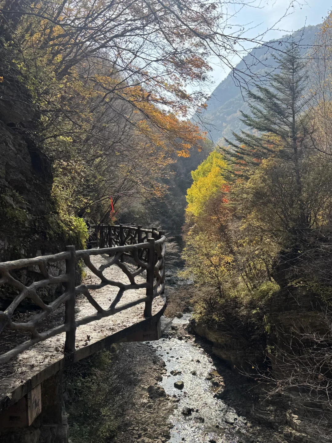 京津自驾4h｜辉川赏秋 人不多 叶子还在🍂