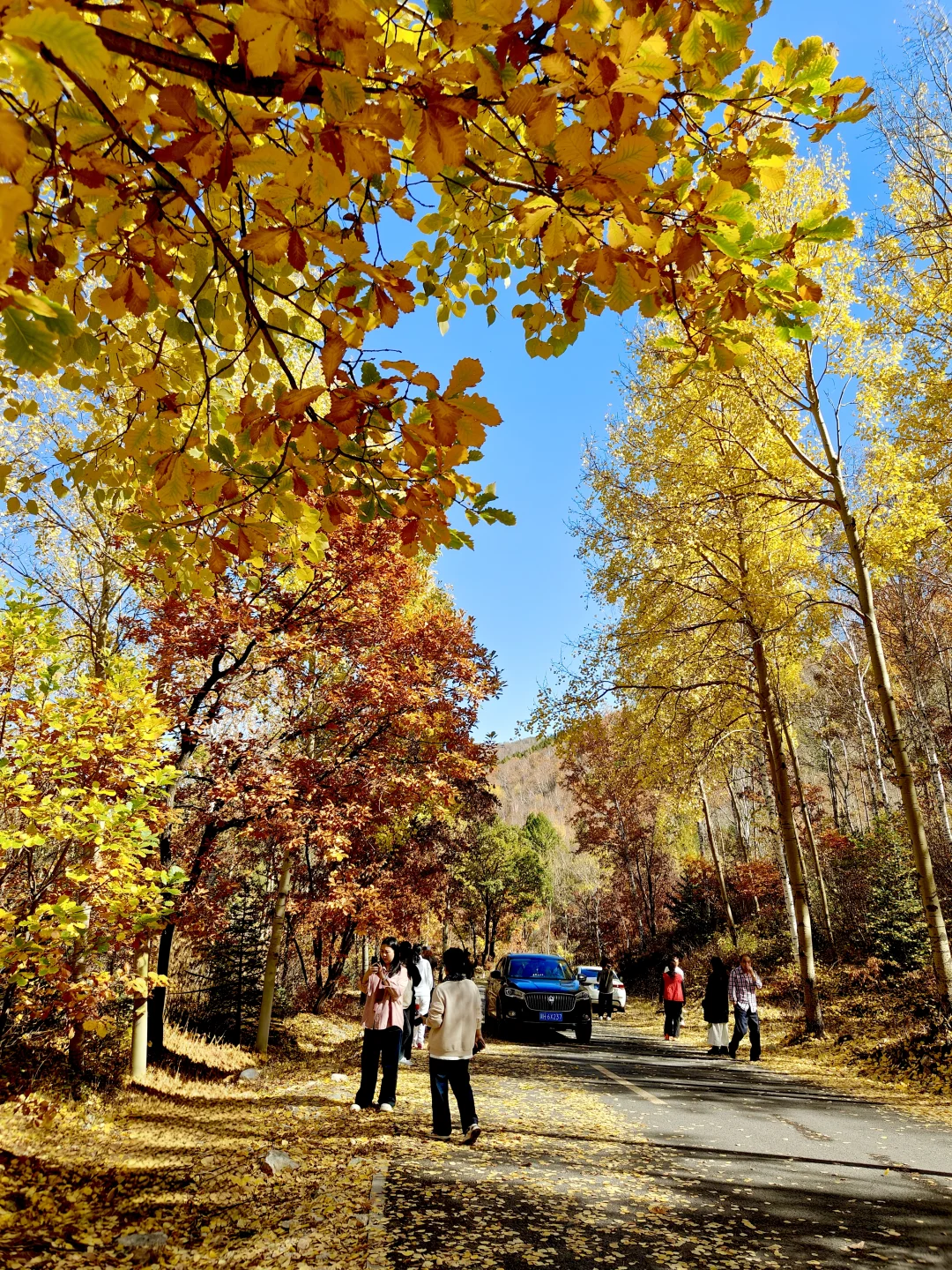 国庆赏秋10.2 | 免费人少，自驾五道沟景区