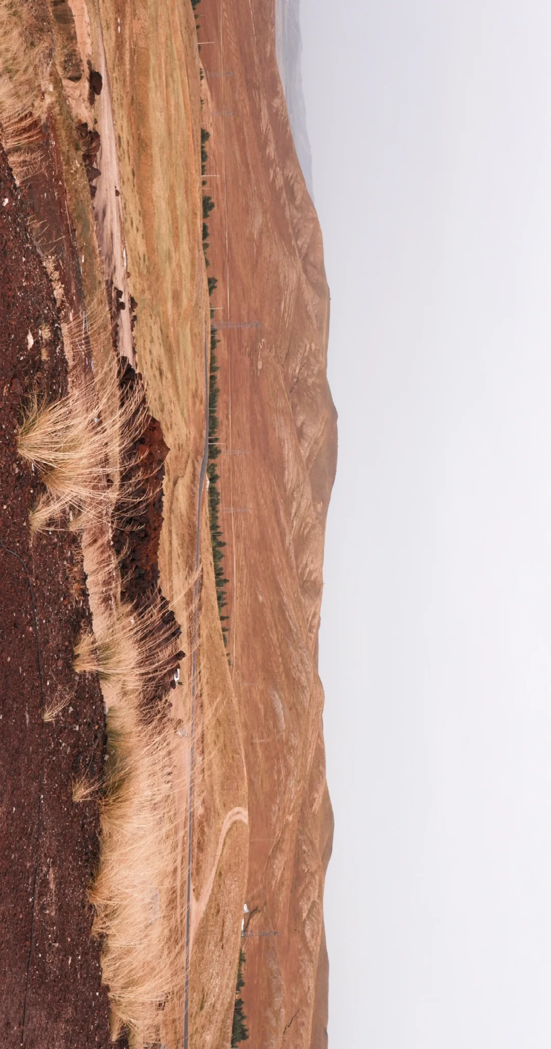 乌兰哈达火山有虫灾