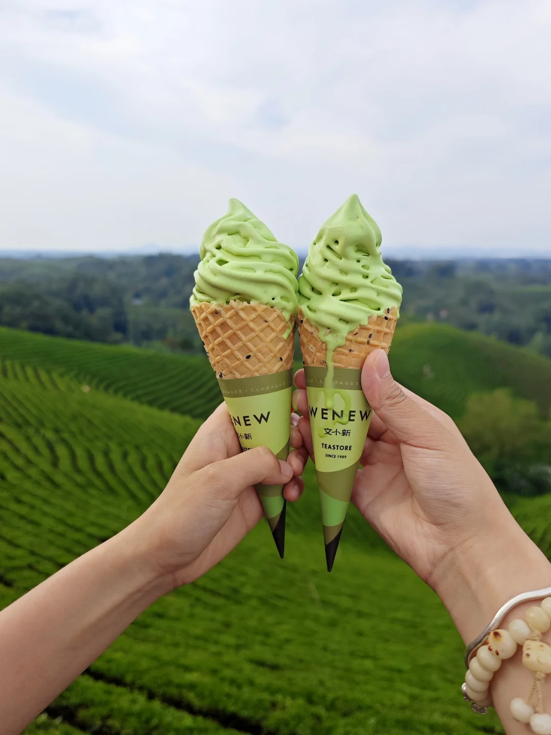 信阳📍🌳一个巨大的绿色能量场（含攻略