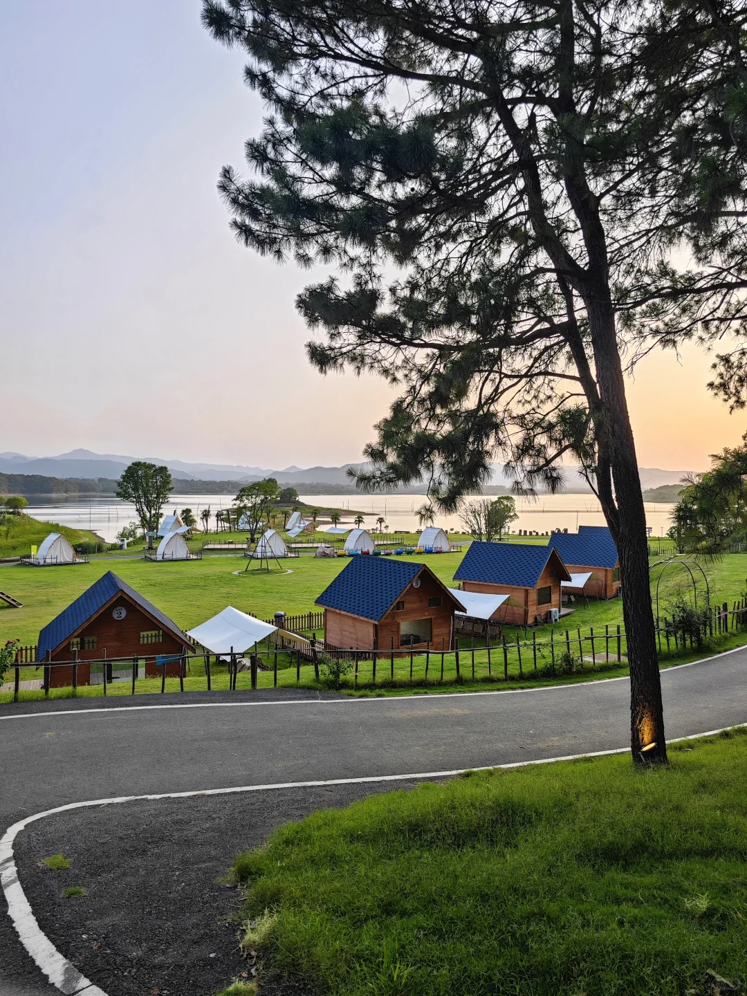 信阳📍🌳一个巨大的绿色能量场（含攻略