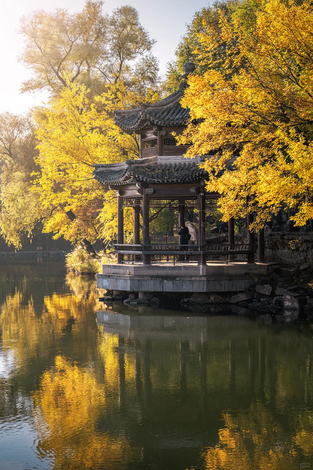 谁懂啊!避暑山庄的晨雾秋景直接美到失语