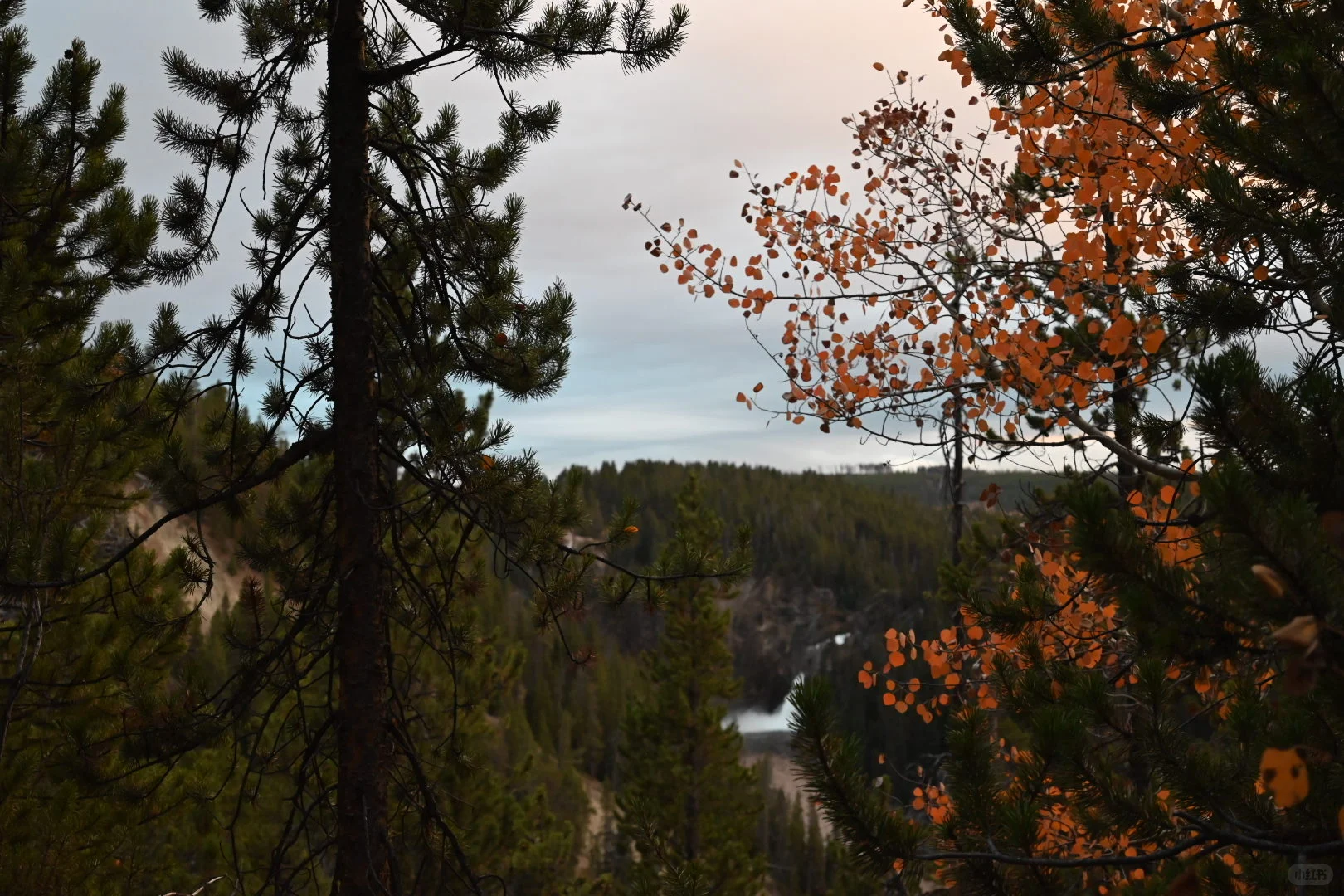 美国旅游和国内旅游的不同感受