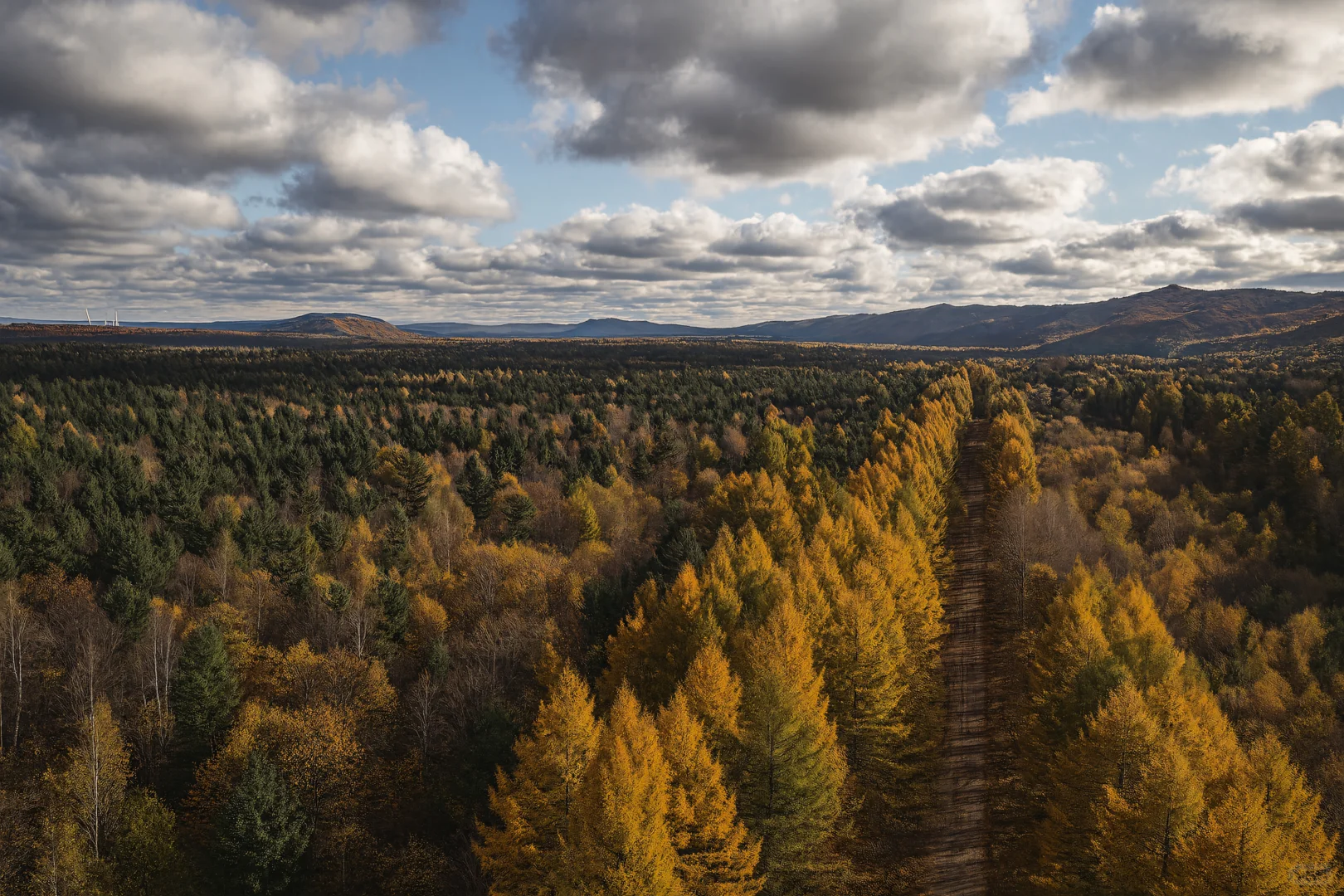 北纬47°的秋天，美成一幅油画！