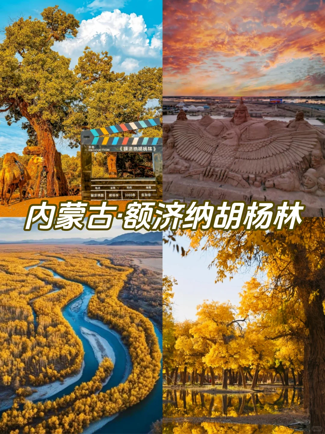 🍂《国内赏秋天花板》9大秘境·抢先收藏!