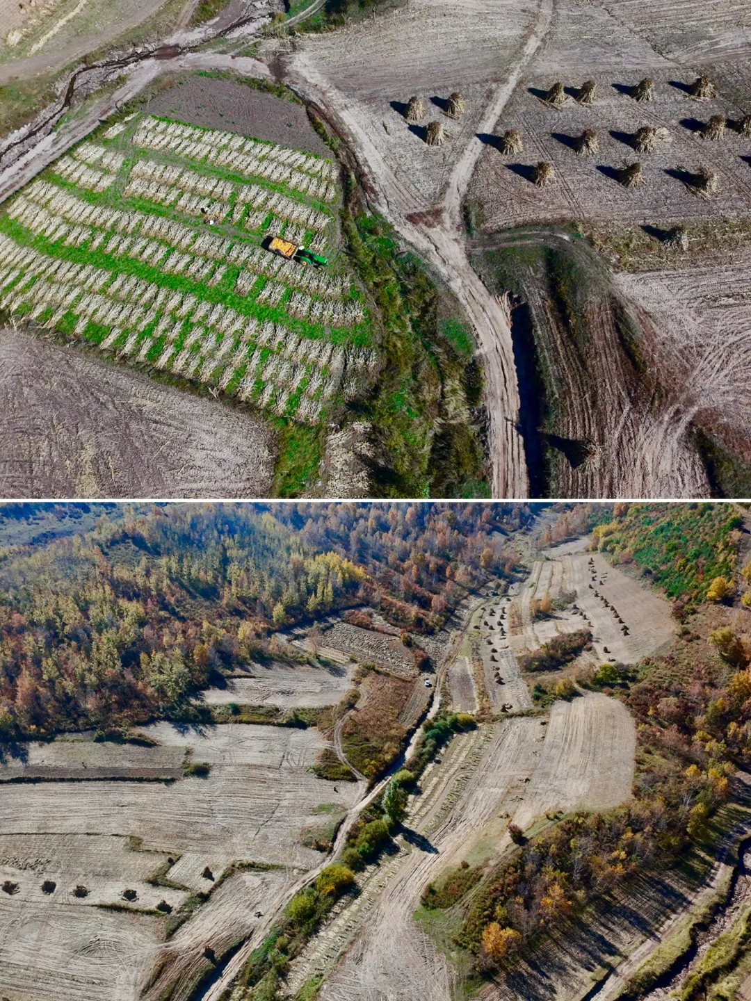 国庆赏秋10.2 | 免费人少，自驾五道沟景区