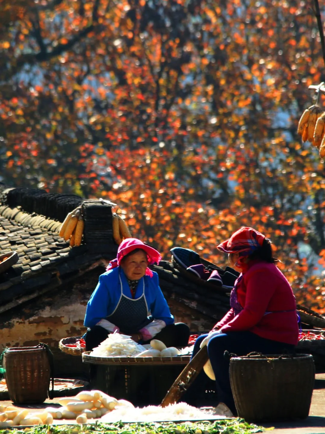 十一月的篁岭,堪称国内旅游的天花板❗️