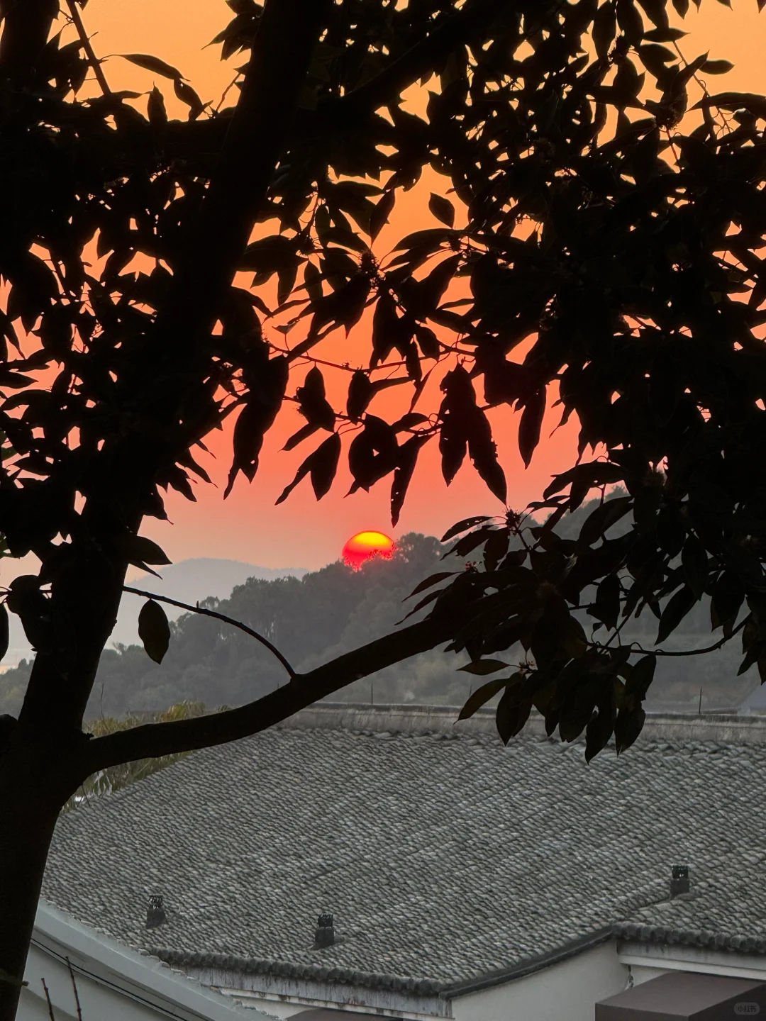 🌟 普陀山：一个人的朝圣之旅