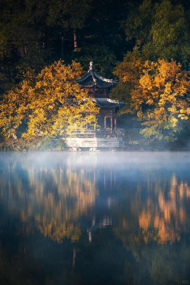 谁懂啊!避暑山庄的晨雾秋景直接美到失语