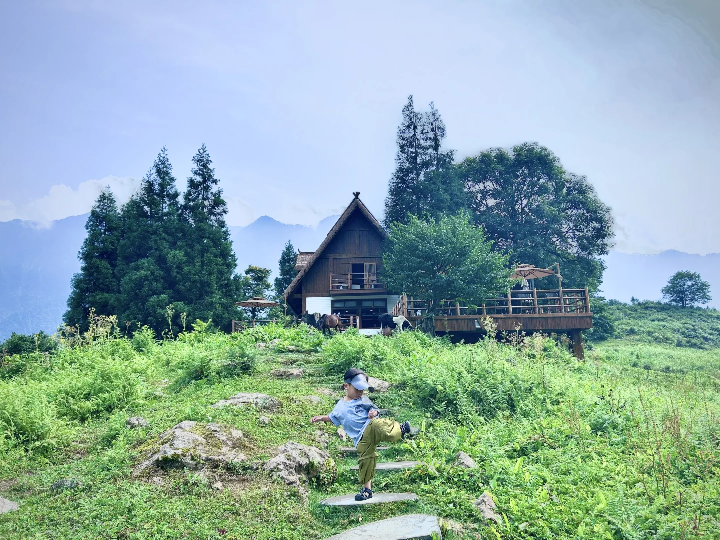 不想爬山又想凉快且绿植茂盛的地方