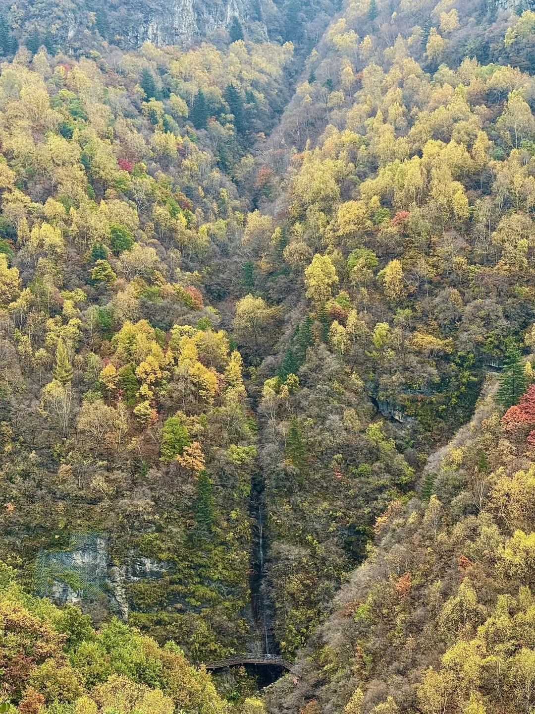 京津自驾4h｜辉川赏秋 人不多 叶子还在🍂