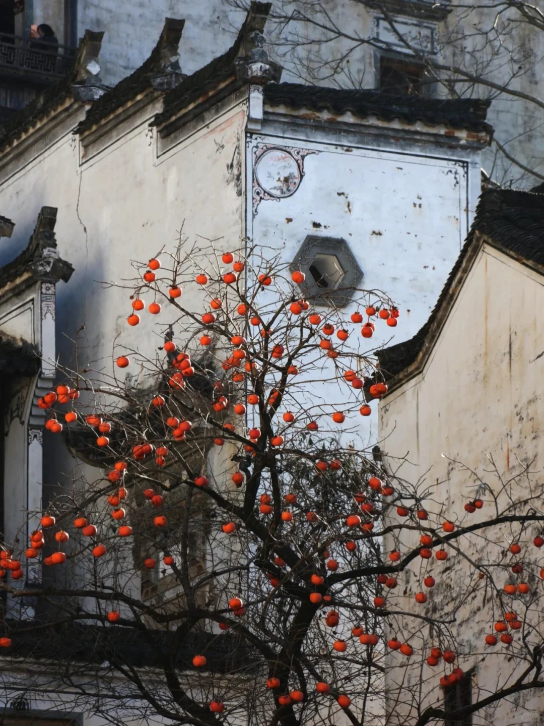十一月的篁岭,堪称国内旅游的天花板❗️