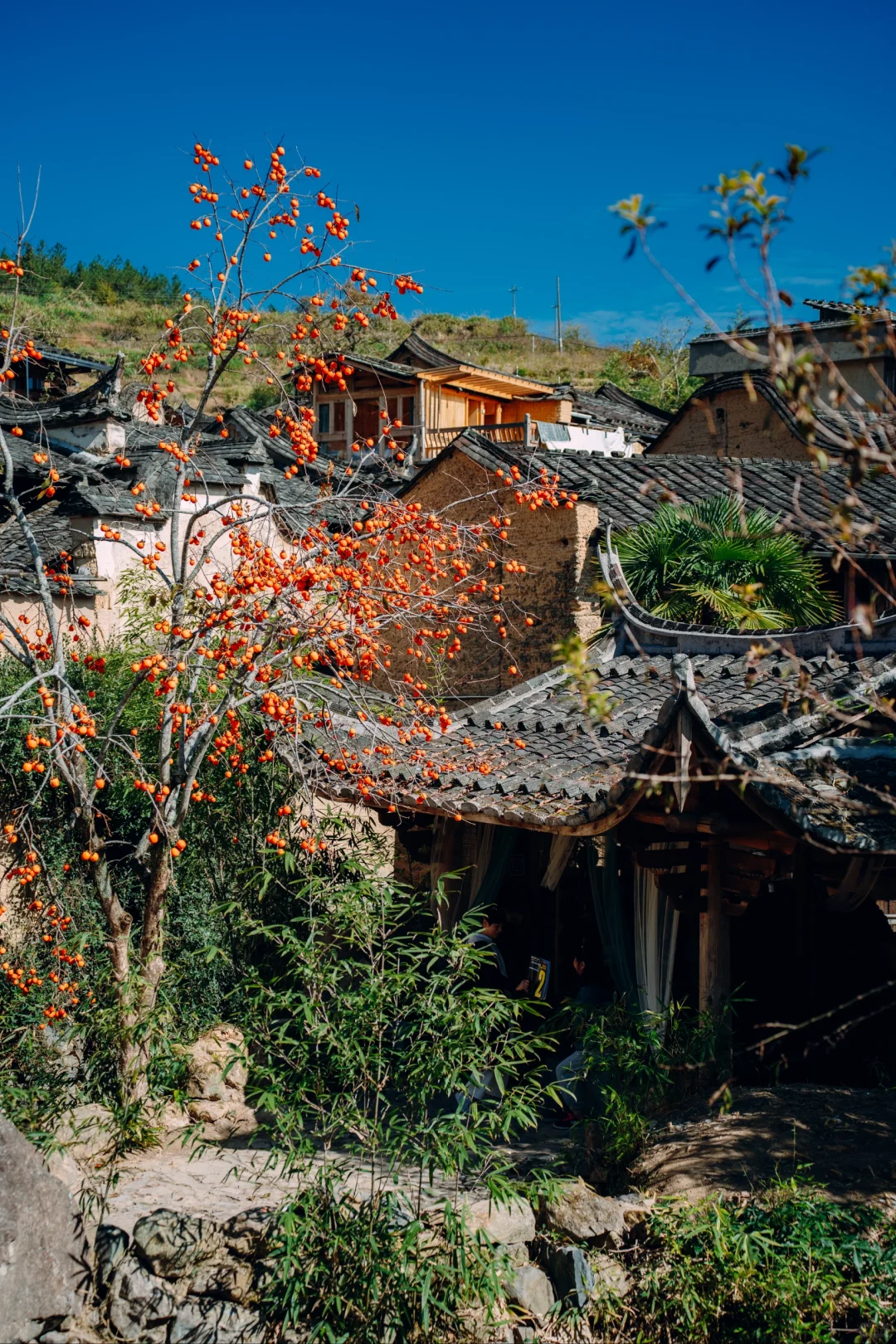 “接下来的屏南,堪称福建中式秋景天花板”