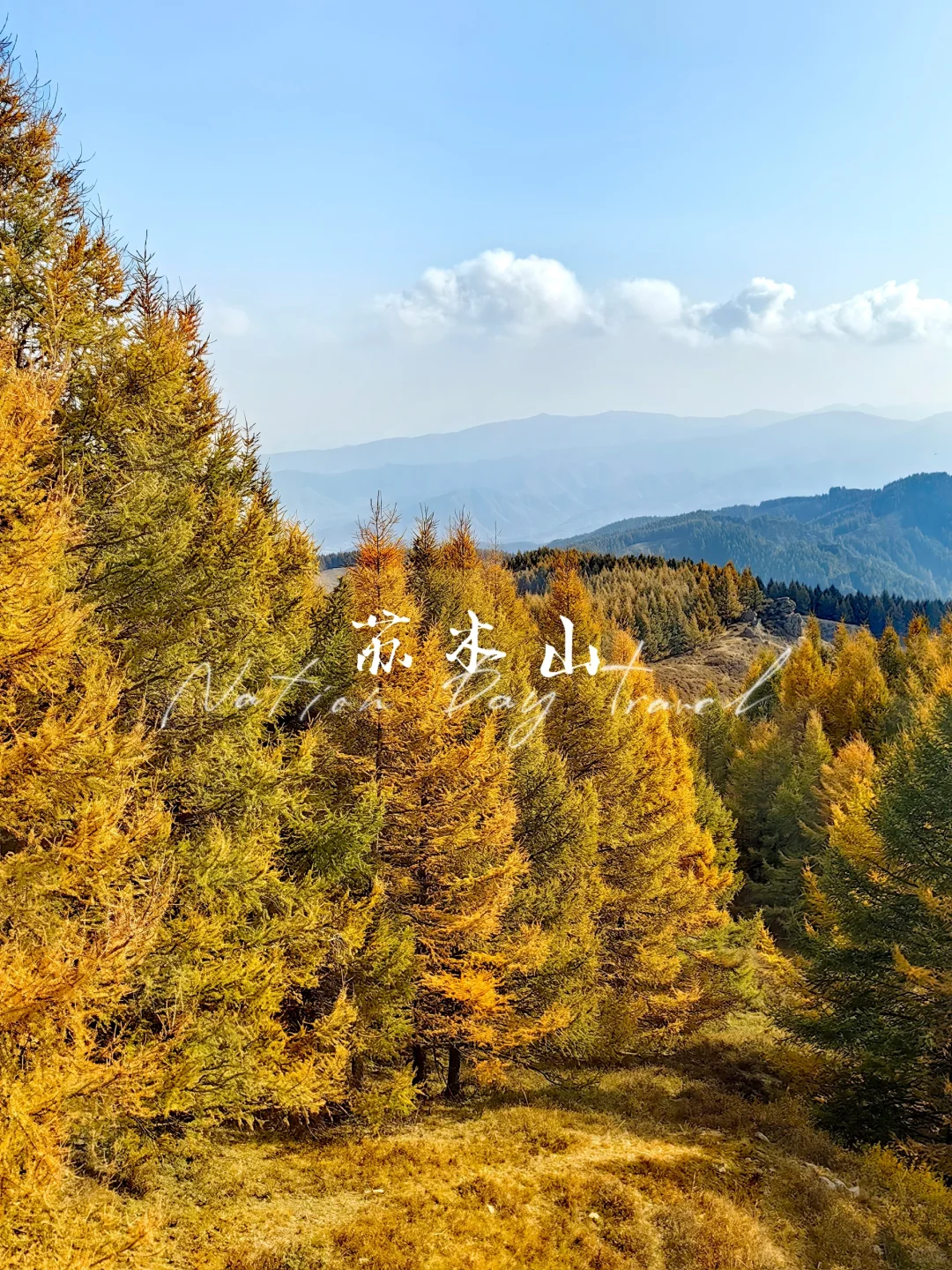 📍乌兰察布·苏木山森林公园