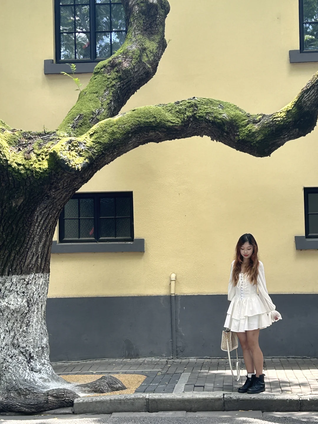 为了这18张live图📷来了趟南京……附具体位置