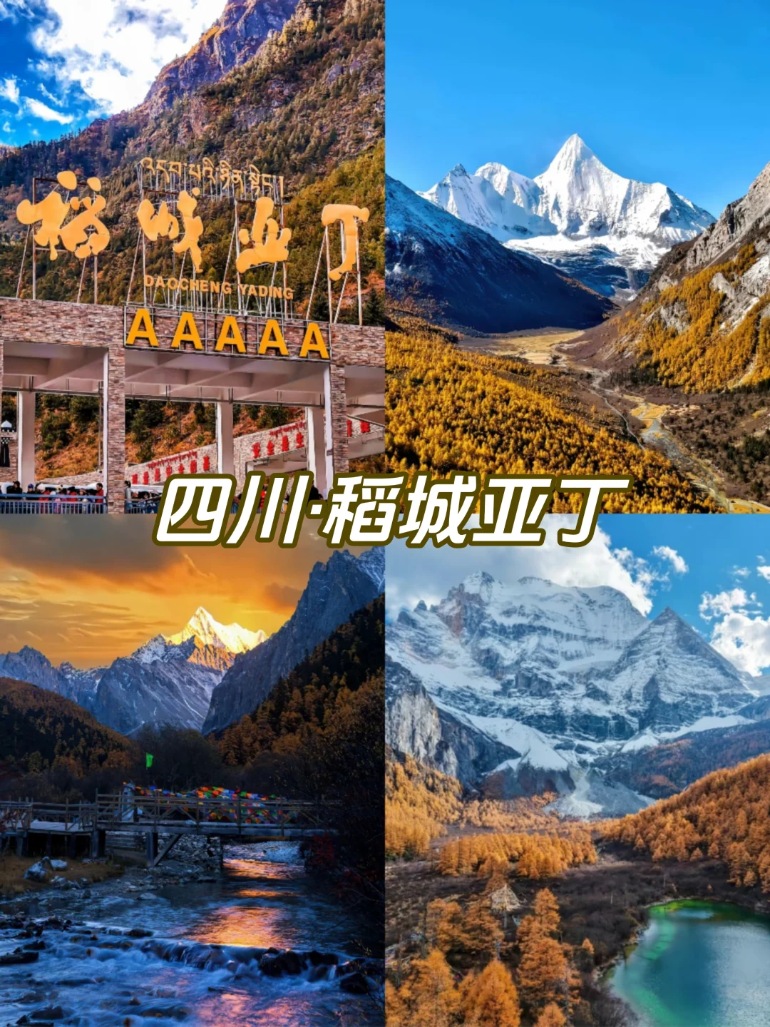 🍂《国内赏秋天花板》9大秘境·抢先收藏!