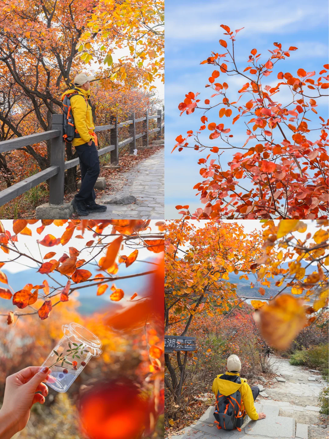 发朋友圈被问爆的绝美红叶谷🍁附地图