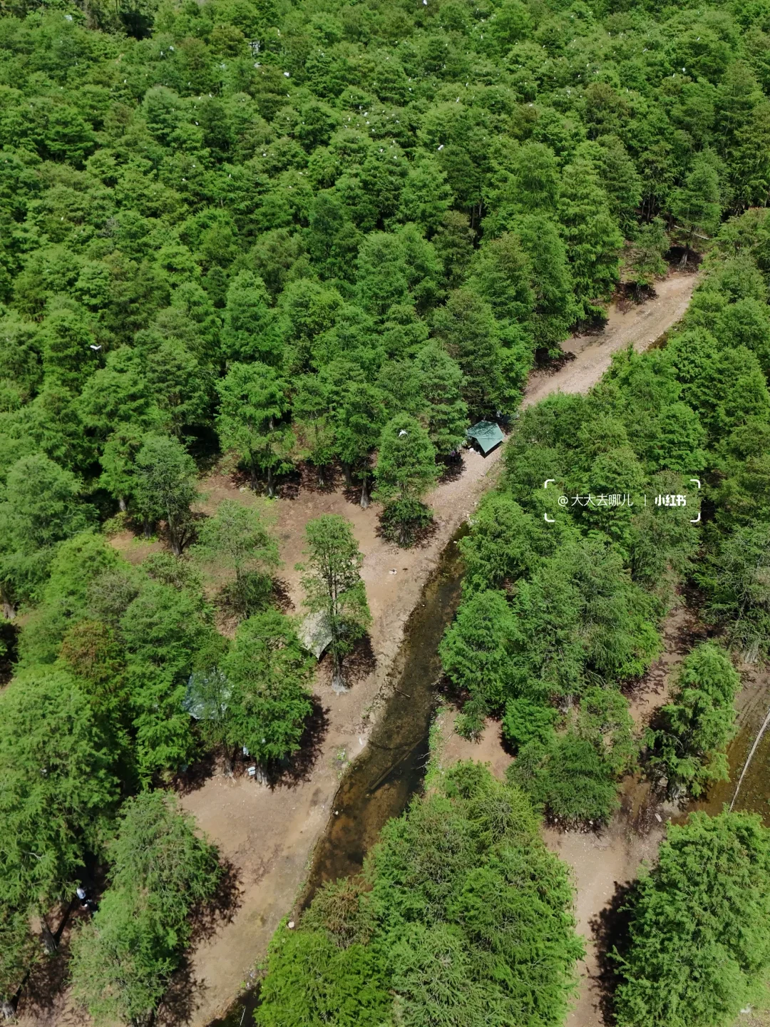 开车1h，来了不下10次的自驾宝藏地！下次还来