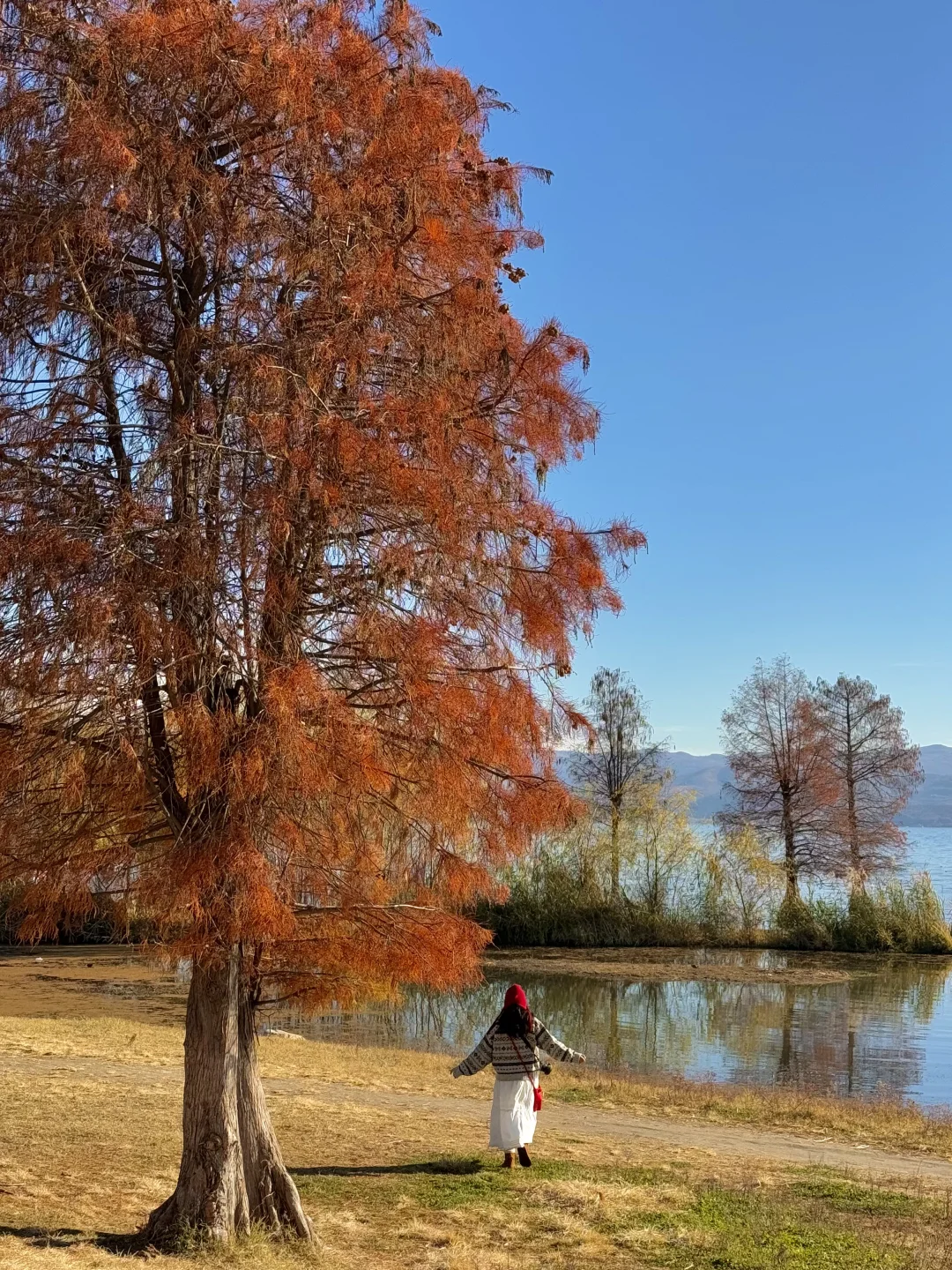 大理的秋天🍂每一帧都是人生Live呀！！！！