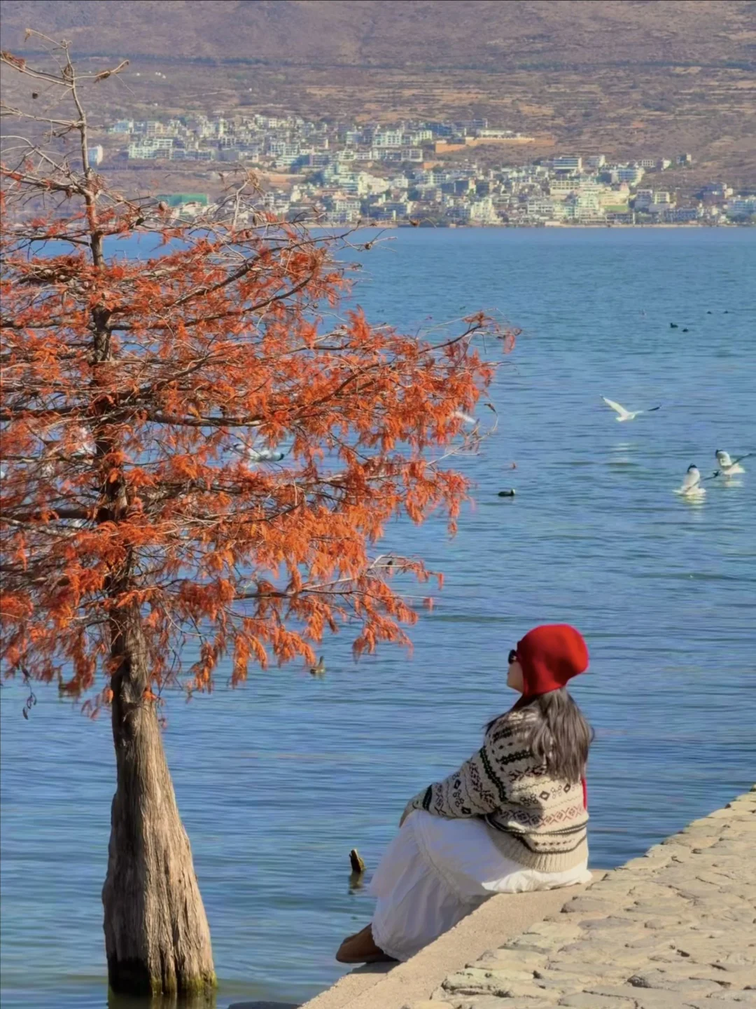大理的秋天🍂每一帧都是人生Live呀！！！！