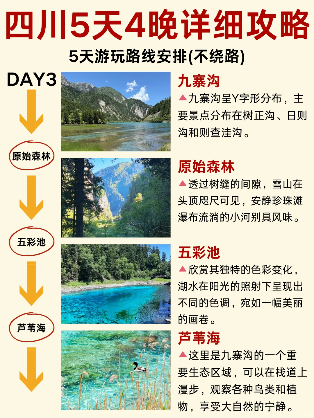 四川旅游5天4晚保姆级攻略,人均800+搞定