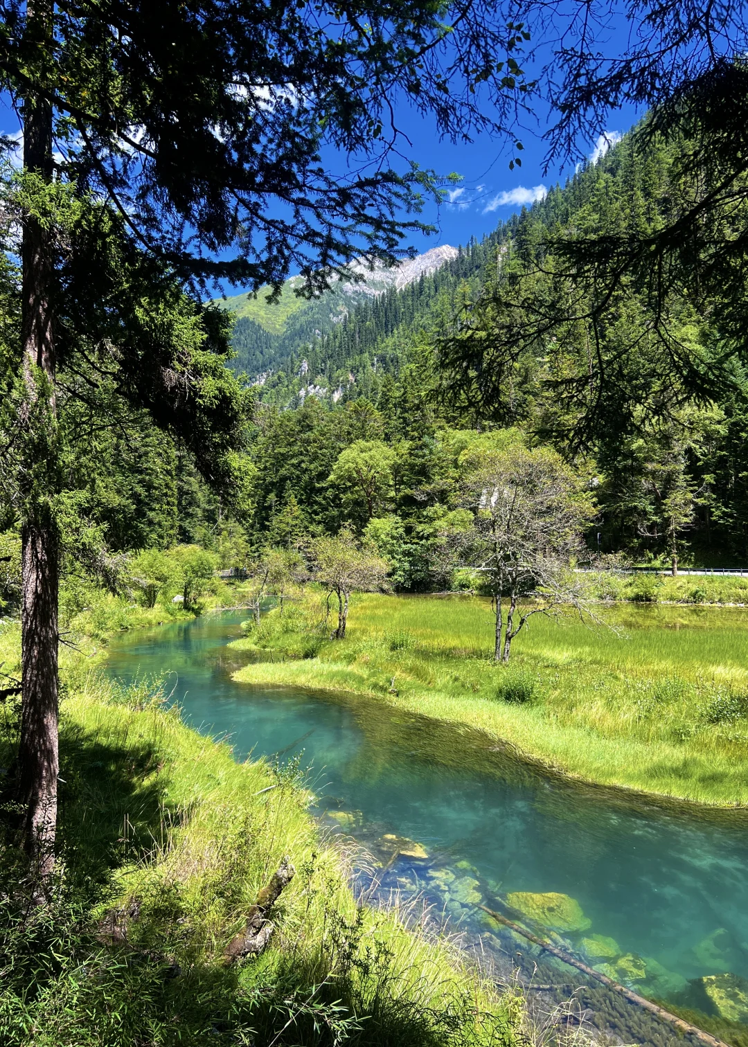 交换大家九寨沟旅游神图！！！！