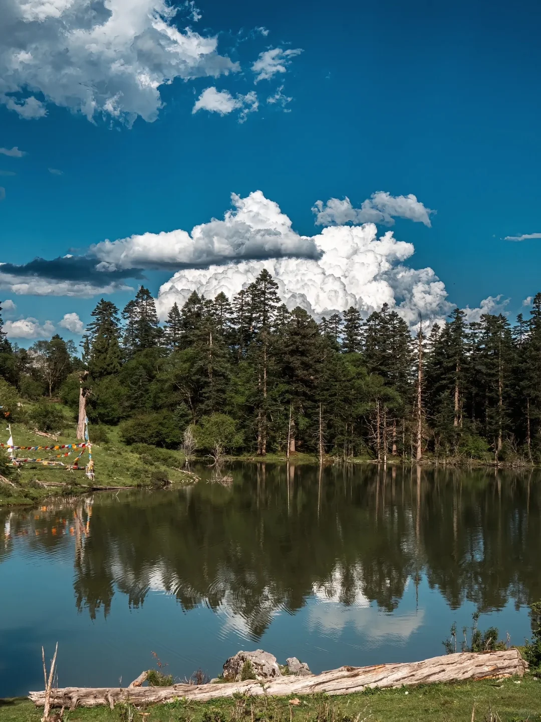 这里不是瑞士 这里是甘肃迭部骨麻湖