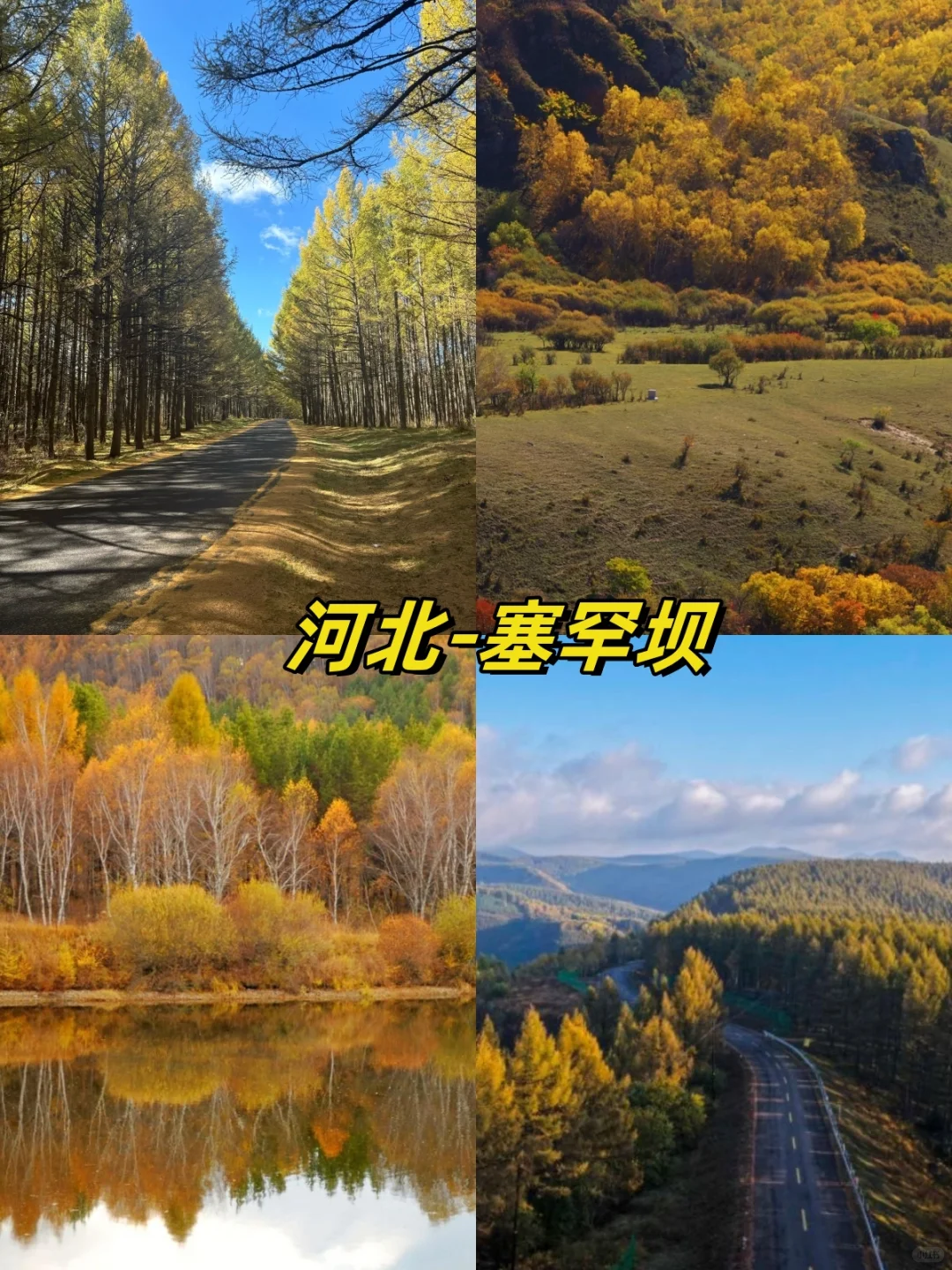 🍁国内秋日限定!13 个赏秋目的地大汇总