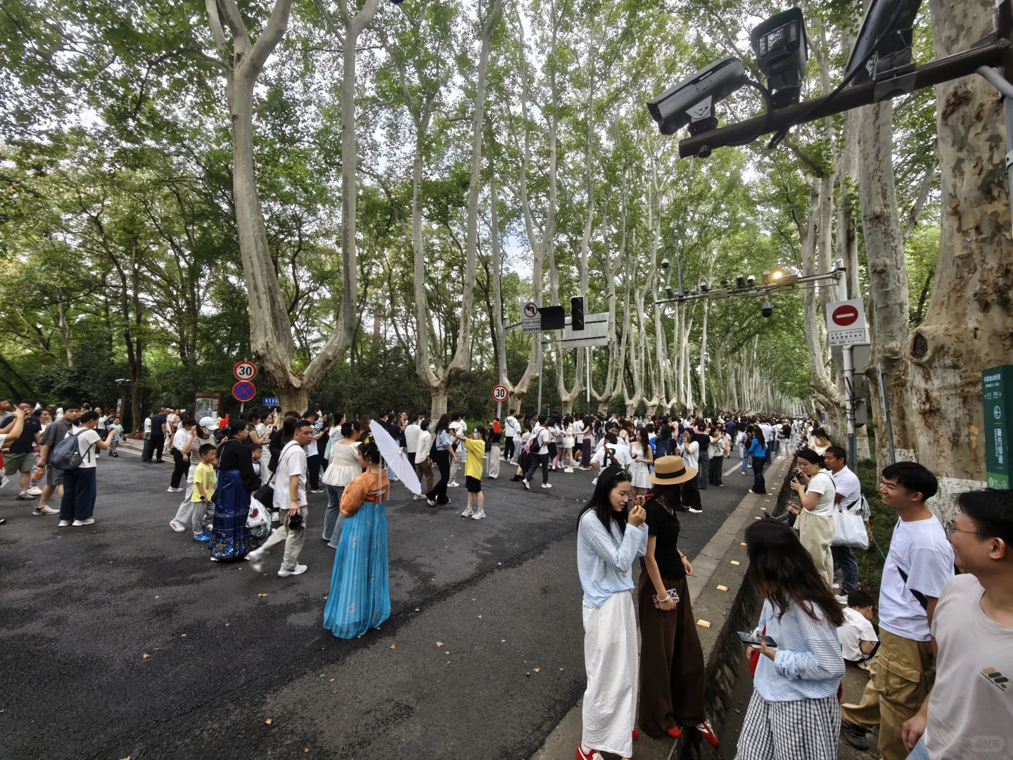 2025.10.1中午11点45，梧桐大道