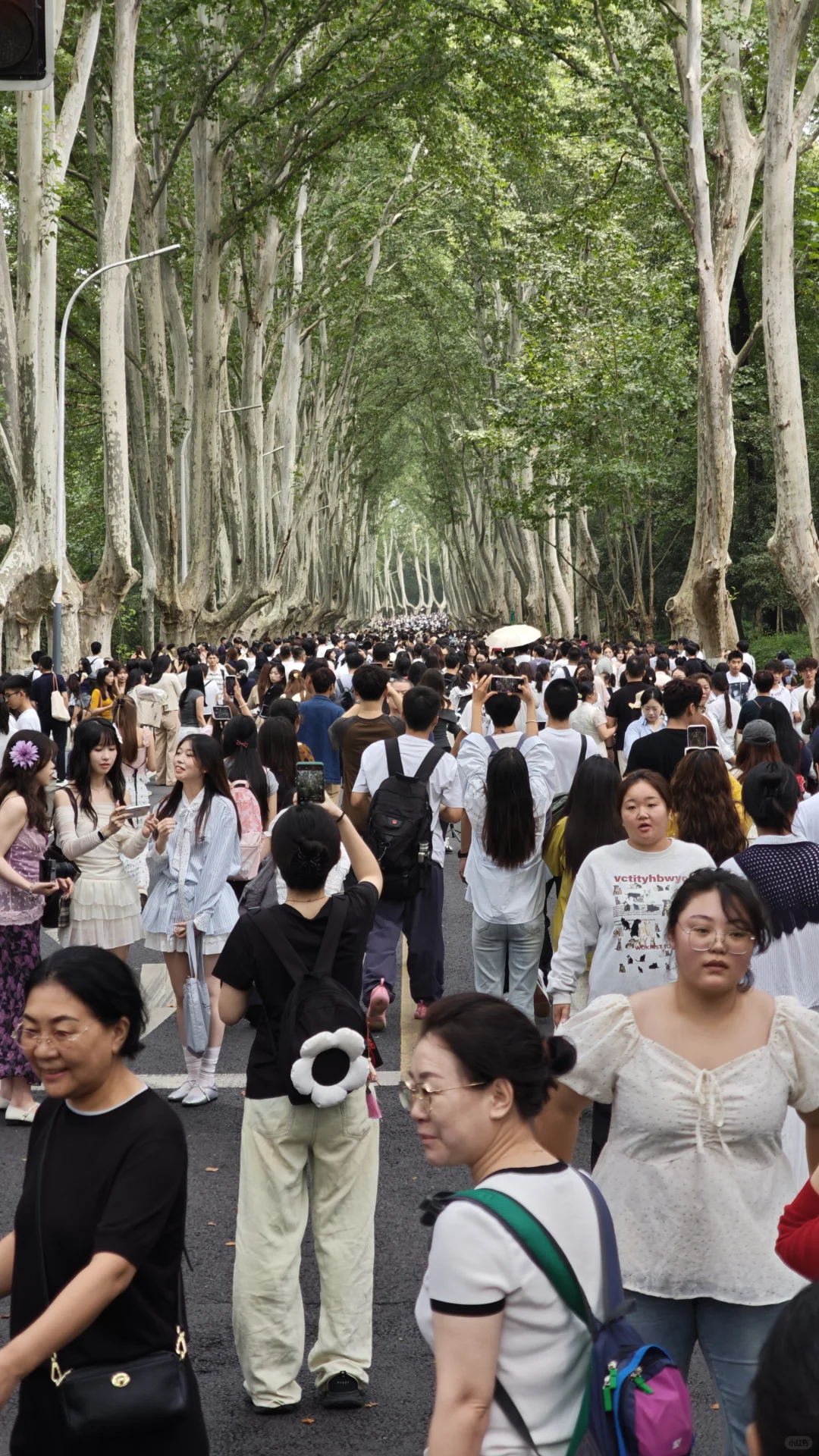 2025.10.1中午11点45，梧桐大道