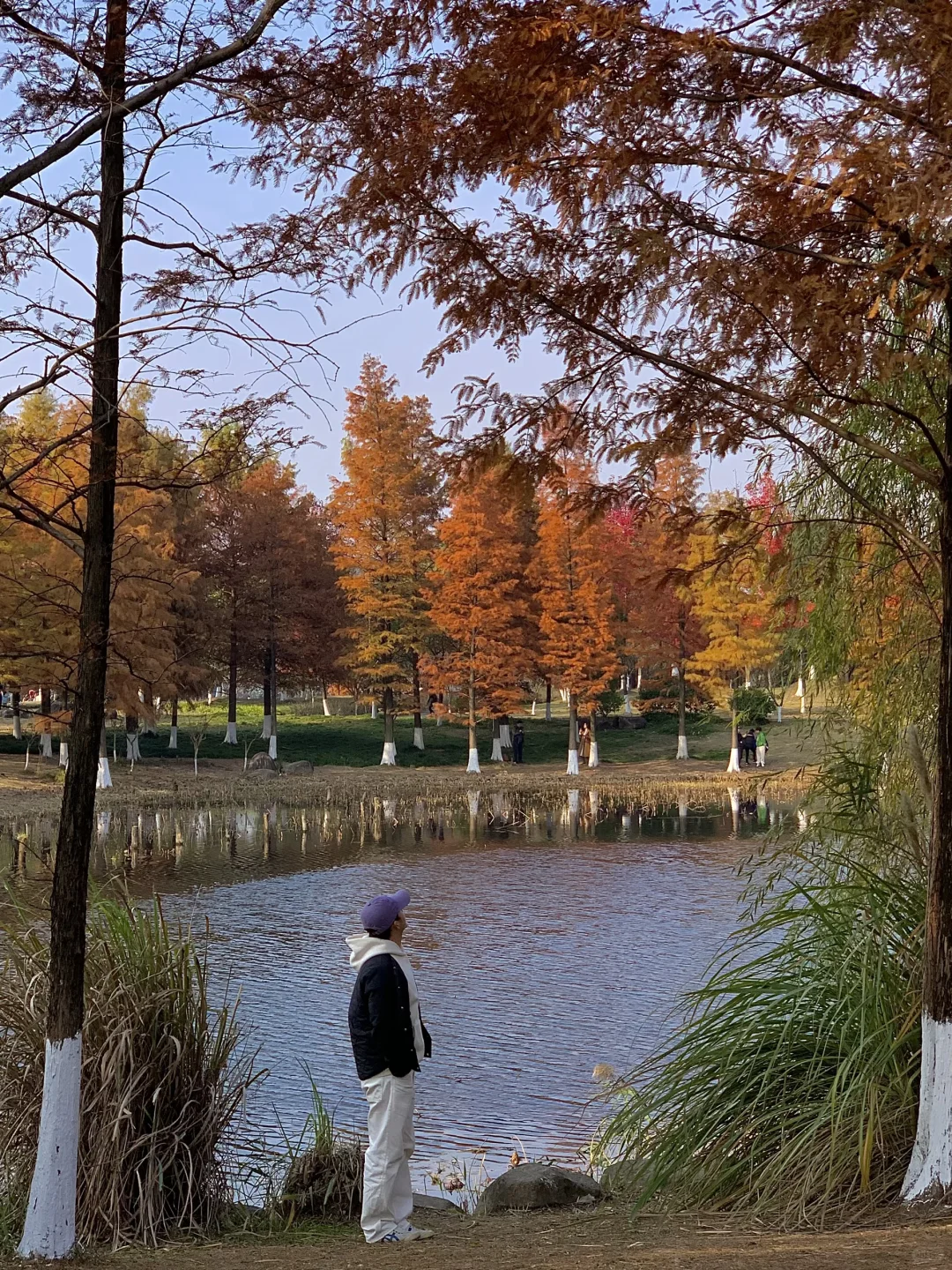 接下来的杭州…堪称秋日旅行天花板！（live版