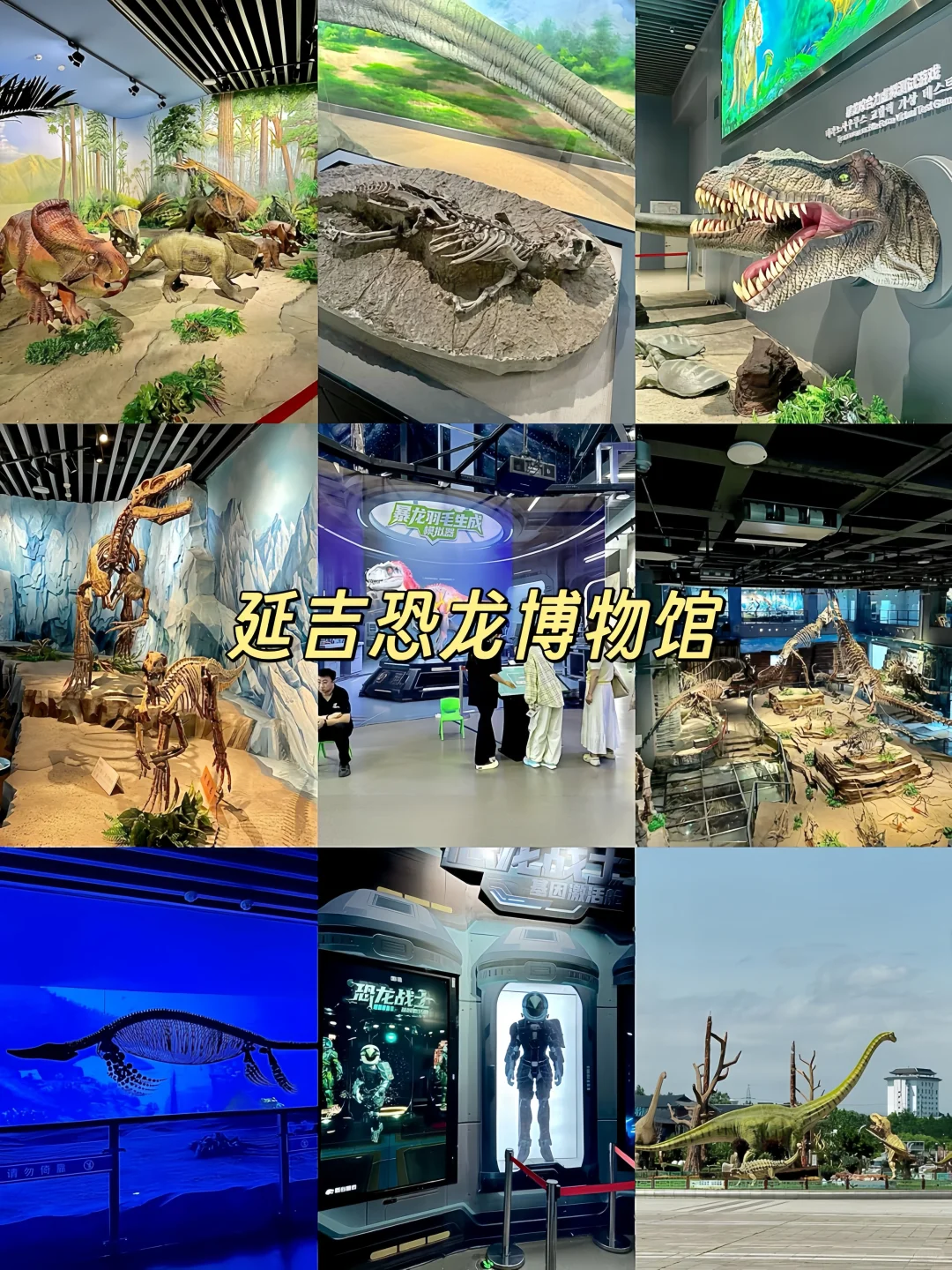 延吉已回。。。我真的崩溃了⋯⋯😂